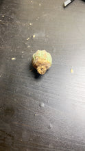 Load image into Gallery viewer, Euphorbia obesa
